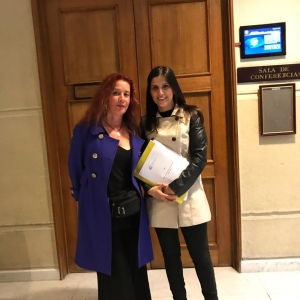 Presentación a la Comisión de Infancia Cámara de Diputados